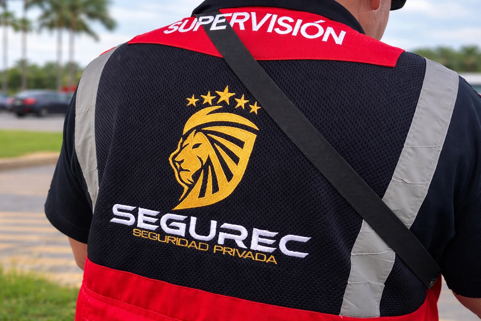 Sistemas de seguridad SEGUREC